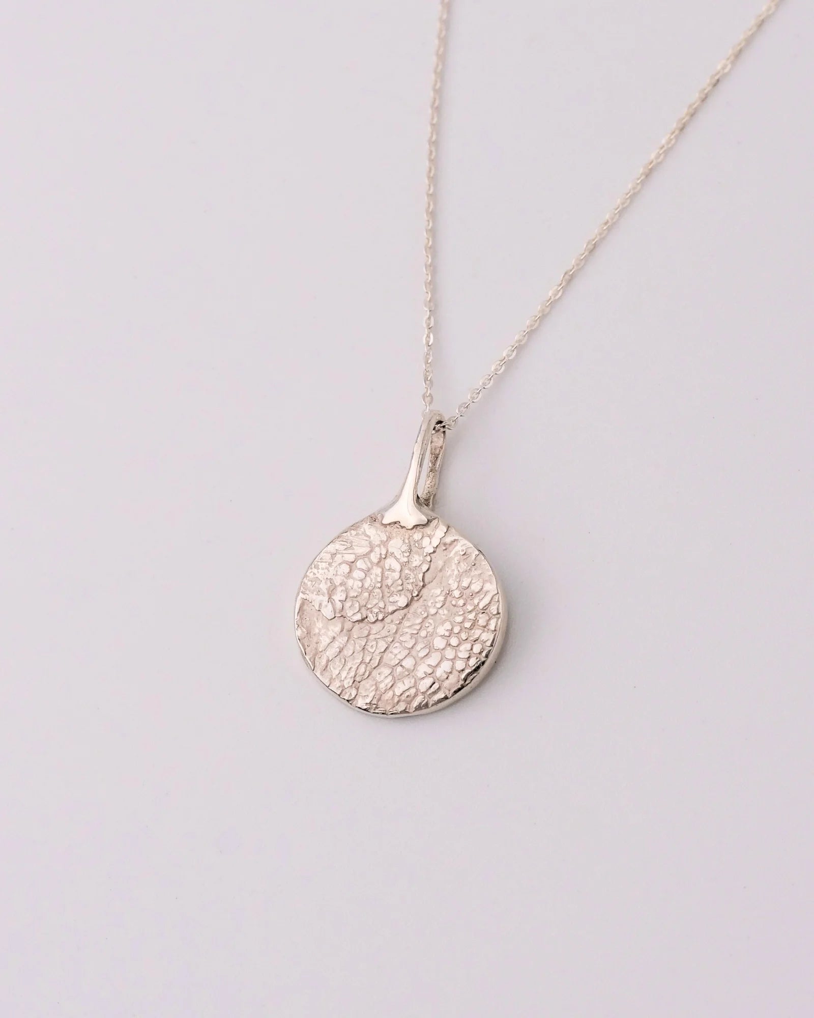 Collier rond argent avec empreinte animale sur chaine.