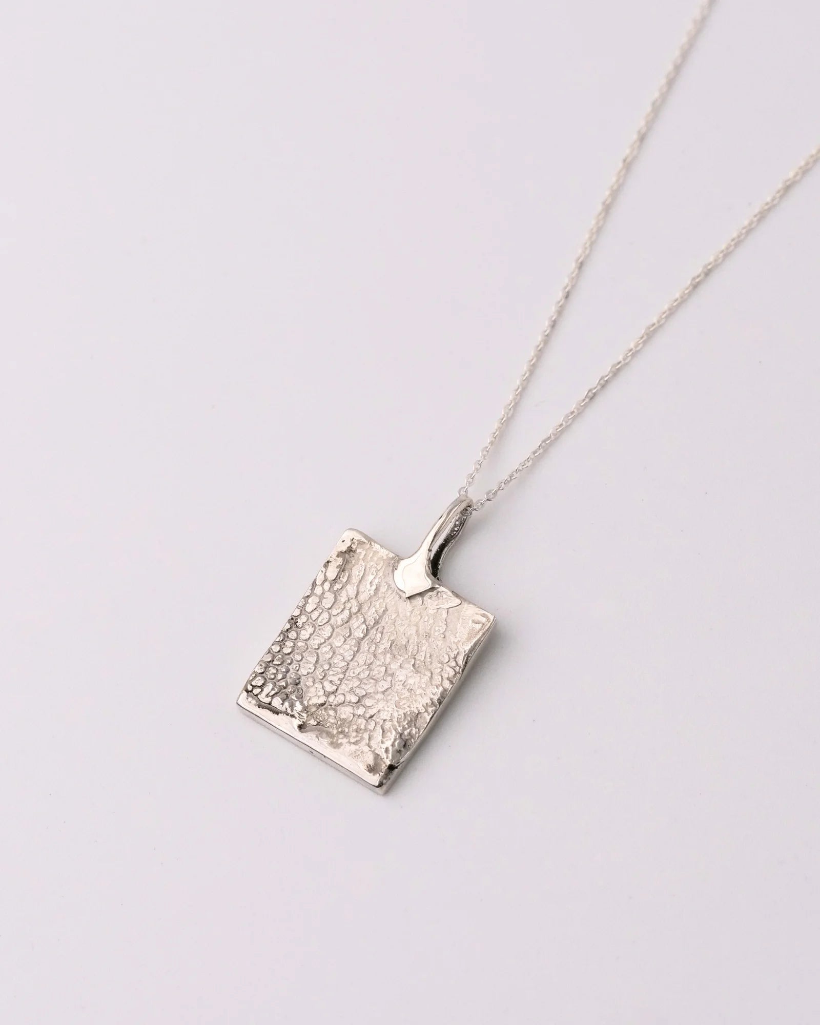 Collier argent avec empreinte animale sur chaîne.