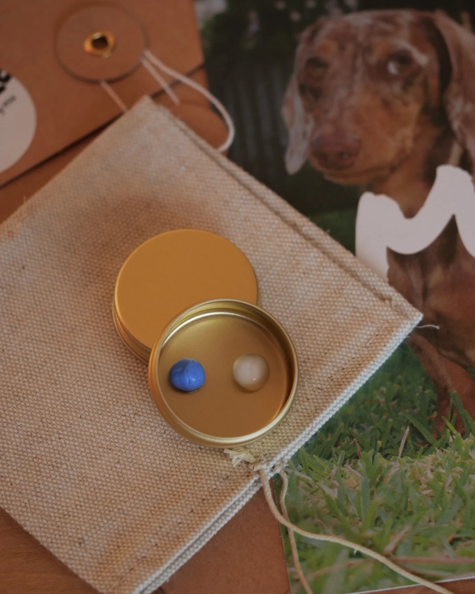 Packaging du kit empreinte animale.