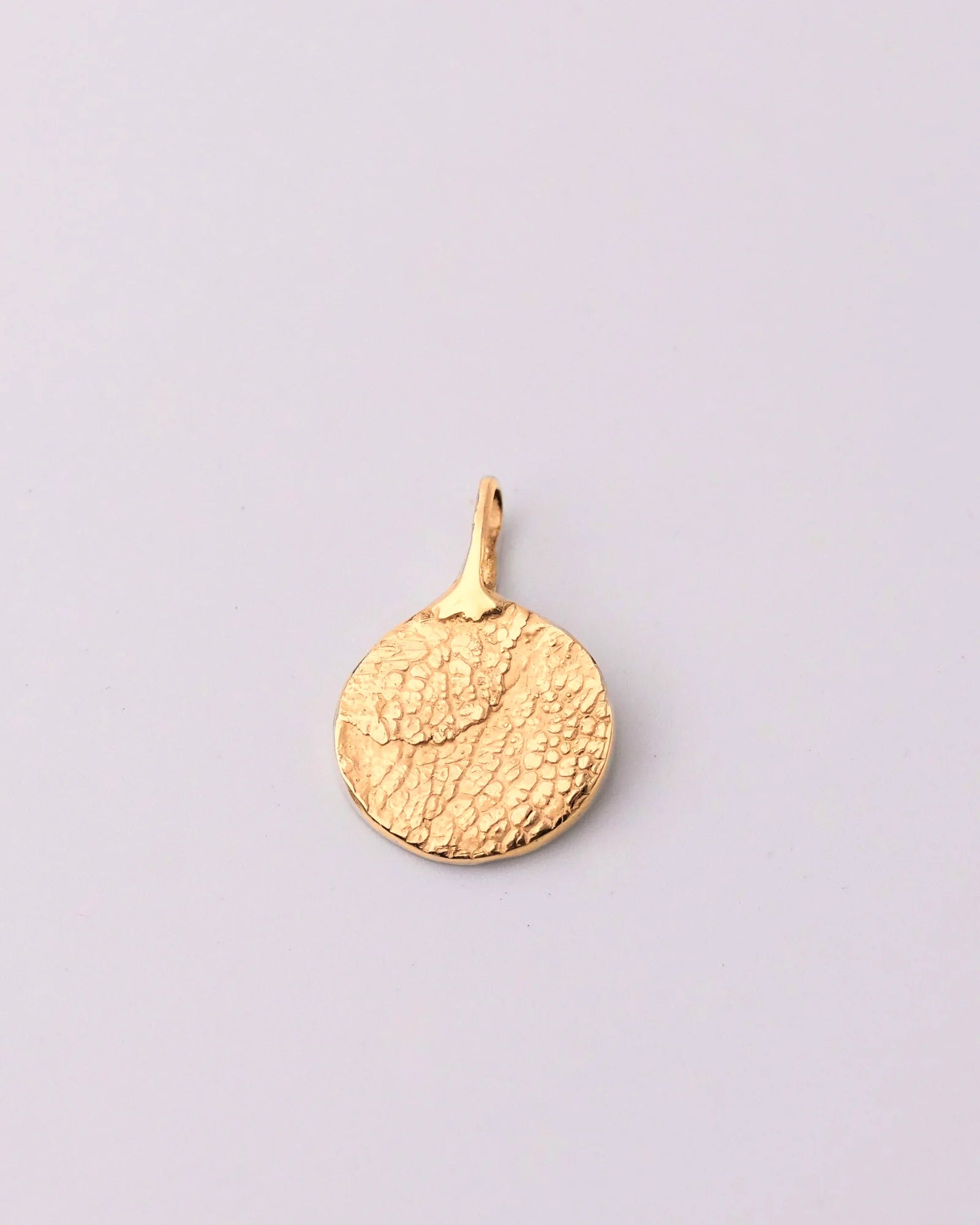 Pendentif rond en vermeil avec empreinte animale.